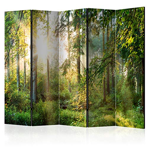 decomonkey Paravent Raumteiler Innen Wald Natur 225x172 cm 5 Teilig Einseitig Room Divider Wall Raumteiler Stehend Trennwand Sichtschutz Spanische Wand Sichtschutzwand Wohnzimmer Holz von decomonkey