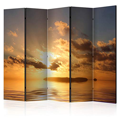 decomonkey Paravent Raumteiler Innen Landschaft Natur 225x172 cm 5 Teilig Einseitig Room Divider Wall Raumteiler Stehend Trennwand Sichtschutz Spanische Wand Sichtschutzwand Wohnzimmer Holz Meer von decomonkey