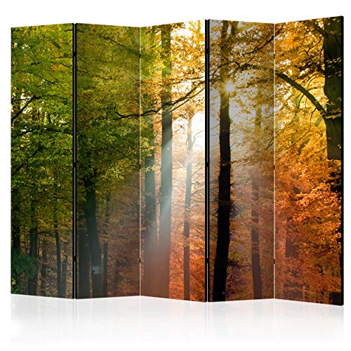 decomonkey Paravent Raumteiler Innen Wald 225x172 cm 5 Teilig Einseitig Room Divider Wall Raumteiler Stehend Trennwand Sichtschutz Spanische Wand Sichtschutzwand Wohnzimmer Holz Baum Natur von decomonkey