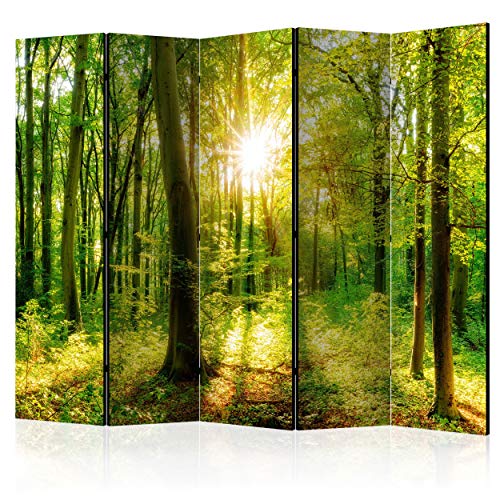 decomonkey Paravent Raumteiler Innen Wald 225x172 cm 5 Teilig Einseitig Room Divider Wall Raumteiler Stehend Trennwand Sichtschutz Spanische Wand Sichtschutzwand Wohnzimmer Holz Natur Baum von decomonkey