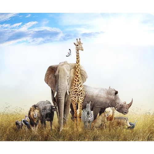 decomonkey Premium Fototapete Afrika Tiere 200x140 cm XL Tapete Fototapeten Vlies Tapeten Vliestapete Wandtapete moderne Wandbild Wand Schlafzimmer Wohnzimmer Kinderzimmer Elefant Giraffe von decomonkey