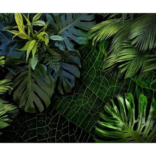 decomonkey Premium Fototapete Palmen 350x256 cm XL Tapete Wandbild Bild Fototapeten Tapeten Wandtapete Wandtapeten Blätter Pflanzen Natur grün von decomonkey