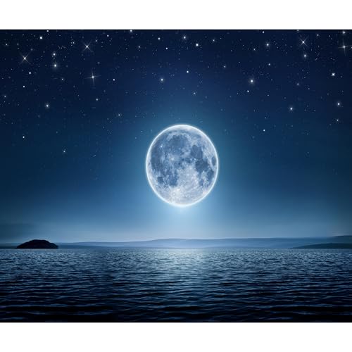 decomonkey Premium Fototapete Vollmond 200x140 cm XL Tapete Fototapeten Vlies Tapeten Vliestapete Wandtapete moderne Wandbild Wand Schlafzimmer Wohnzimmer Landschaft Nacht von decomonkey