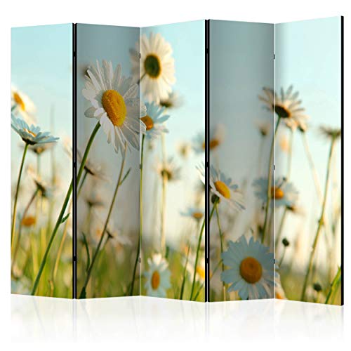 decomonkey Paravent Raumteiler Innen Blumen 225x172 cm 5 Teilig Beidseitig Room Divider Wall Raumteiler Stehend Trennwand Sichtschutz Spanische Wand Sichtschutzwand Wohnzimmer Holz Gänseblümchen von decomonkey