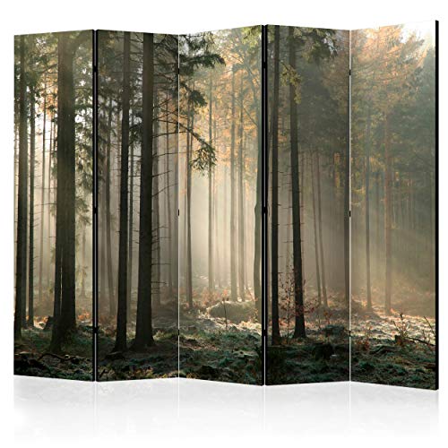 decomonkey Paravent Raumteiler Innen Wald 225x172 cm 5 Teilig Beidseitig Room Divider Wall Raumteiler Stehend Trennwand Sichtschutz Spanische Wand Sichtschutzwand Wohnzimmer Holz Natur Baum von decomonkey