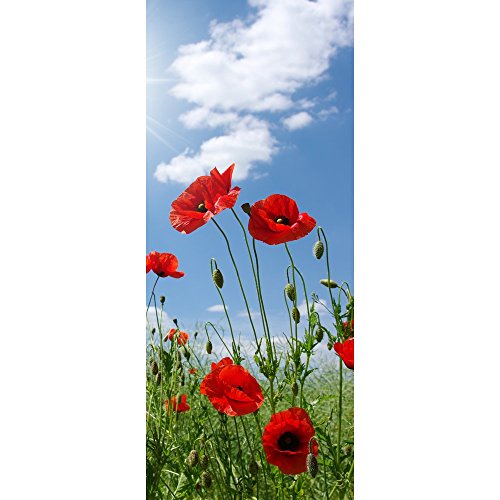 Textilbanner Mohnblumenfeld Wand-Deko Mohnblumen 100% Polyester Motivbanner von Props4shows