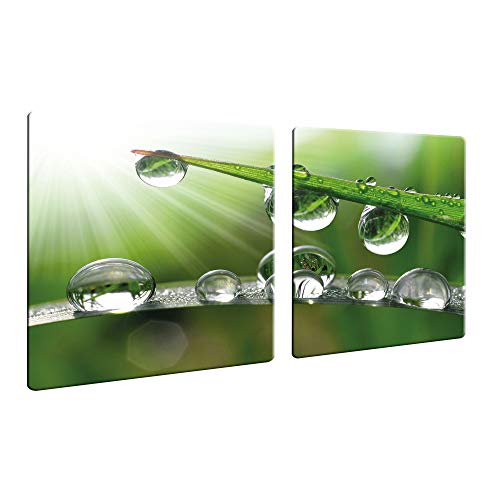 CTC-Trade | Herdabdeckplatten 2X 40x52 cm Ceranfeld Abdeckung 2teilig Glas Spritzschutz Abdeckplatte Glasplatte Herd Ceranfeldabdeckung Natur Regen Grün von decorwelt