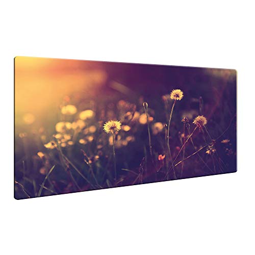 CTC-Trade | Herdabdeckplatten 80x52cm Ceranfeld Abdeckung Glas Spritzschutz Abdeckplatte Glasplatte Herd Ceranfeldabdeckung Blumen von decorwelt