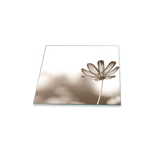 Herdabdeckplatte Abdeckung Ceranfeld Abdeckplatte Schneidebrett 1-Teilig 60x52 Blumen Grau Spritzschutz Glasplatte Ceranfeldabdeckung Schutz Kochplatten Herdschutz Sicherheitsglas Glasschneidebrett Herdabdeckplatte Abdeckung Ceranfeld Abdeckplatte Schneidebrett 1-Teilig 60x52 Blumen Grau Spritzschutz Glasplatte Ceranfeldabdeckung Schutz Kochplatten Herdschutz Sicherheitsglas Glasschneidebrett von decorwelt