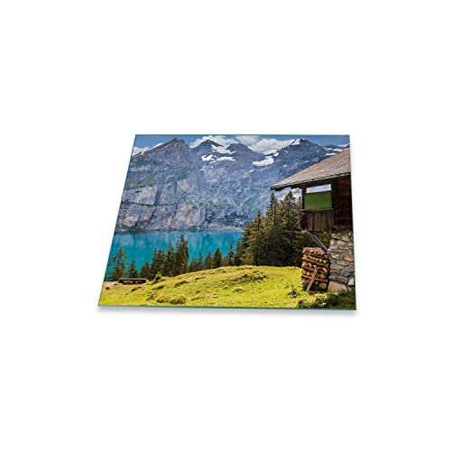 Herdabdeckplatte Abdeckung Ceranfeld Abdeckplatte Schneidebrett 1-Teilig 60x52 Natur Spritzschutz Glasplatte Ceranfeldabdeckung Schutz für Kochplatten Herdschutz Sicherheitsglas Glasschneidebrett von decorwelt