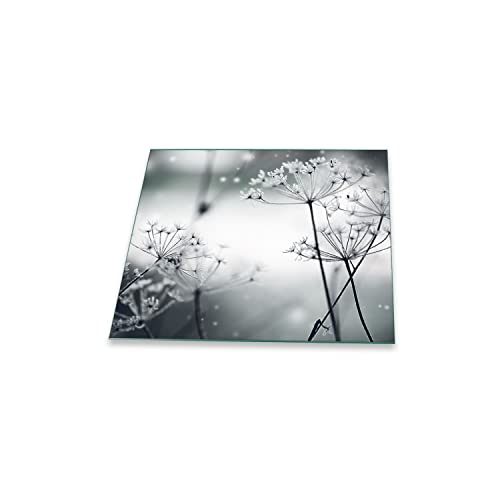 Herdabdeckplatte Abdeckung Ceranfeld Abdeckplatte Schneidebrett 1-Teilig 60x52 Pusteblume Wilder Dill Grau Spritzschutz Glasplatte Ceranfeldabdeckung Herdschutz Sicherheitsglas Glasschneidebrett von decorwelt