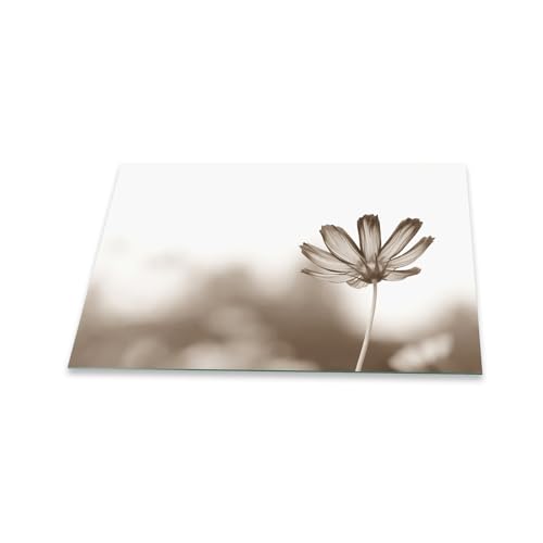 Herdabdeckplatte Abdeckung Ceranfeld Abdeckplatte Schneidebrett 1-Teilig 80x52 Blumen Grau Spritzschutz Glasplatte Ceranfeldabdeckung Schutz Kochplatten Herdschutz Sicherheitsglas Glasschneidebrett von decorwelt