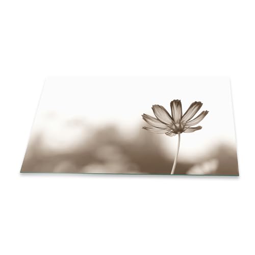 Herdabdeckplatte Abdeckung Ceranfeld Abdeckplatte Schneidebrett 1-Teilig 90x52 Blumen Grau Spritzschutz Glasplatte Ceranfeldabdeckung Schutz Kochplatten Herdschutz Sicherheitsglas Glasschneidebrett von decorwelt