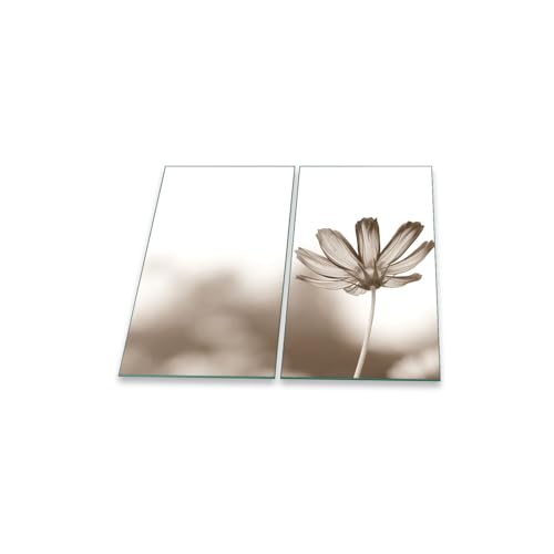 Herdabdeckplatte Abdeckung Ceranfeld Abdeckplatte Schneidebrett 2-Teilig 60x52 Blumen Grau Spritzschutz Glasplatte Ceranfeldabdeckung Schutz Herdschutz Sicherheitsglas Glasschneidebrett 2x30x52 Herdabdeckplatte Abdeckung Ceranfeld Abdeckplatte Schneidebrett 2-Teilig 60x52 Blumen Grau Spritzschutz Glasplatte Ceranfeldabdeckung Schutz Herdschutz Sicherheitsglas Glasschneidebrett 2x30x52 von decorwelt