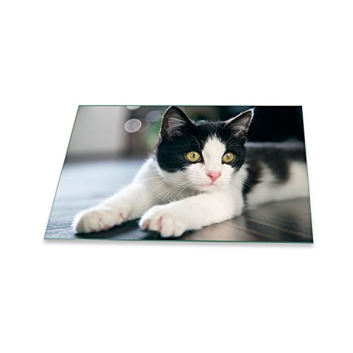 Herdabdeckplatte Ceranfeld 80x52 Katze Schwarz Kochplatten Glas Induktion Deko von decorwelt