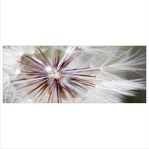 decorwelt Glasbild 125x50 XL Pusteblume Grau Panorama Wandbild Glasbilder Modern Deko Glas von decorwelt
