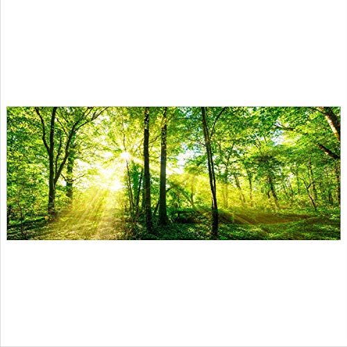 decorwelt Glasbild 125x50 XL Wald Grün Panorama Wandbild Glasbilder Modern Deko Glas Bild von decorwelt