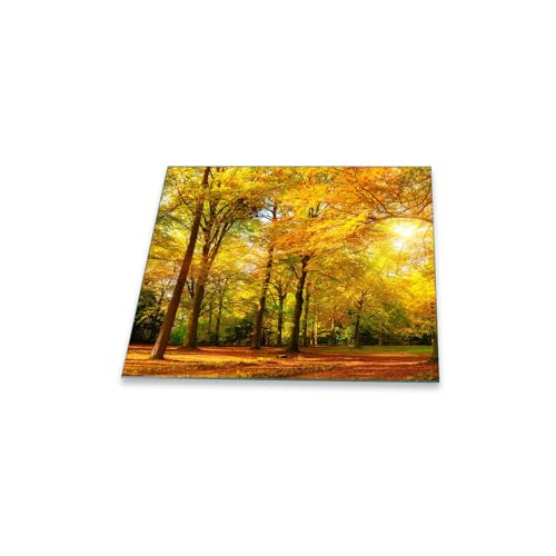 decorwelt | Herdabdeckplatte 60x52 cm Ceranfeldabdeckung 1-Teilig Universal Elektroherd Induktion für Kochplatten Herdschutz Deko Schneidebrett Sicherheitsglas Spritzschutz Glas Natur von decorwelt