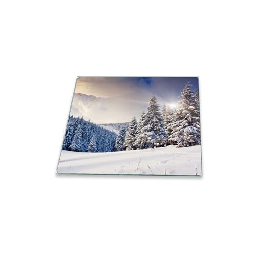 decorwelt | Herdabdeckplatte 60x52 cm Ceranfeldabdeckung 1-Teilig Universal Elektroherd Induktion für Kochplatten Herdschutz Deko Schneidebrett Sicherheitsglas Spritzschutz Glas Weihnachten von decorwelt