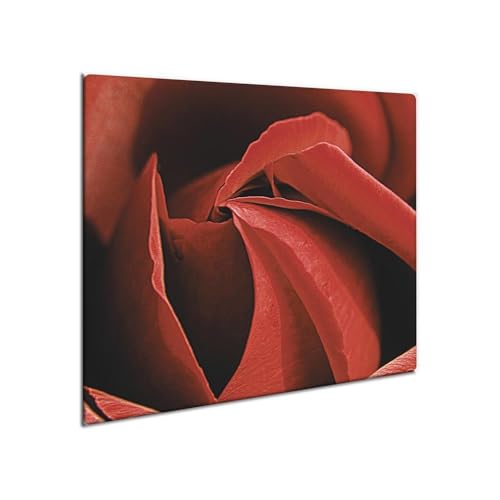 decorwelt | Herdabdeckplatte Glas 60x52 cm Ceranfeld Abdeckung Spritzschutz Abdeckplatte rutschfest Ceranfeldabdeckung Küche Natur decorwelt | Herdabdeckplatte Glas 60x52 cm Ceranfeld Abdeckung Spritzschutz Abdeckplatte rutschfest Ceranfeldabdeckung Küche Natur von decorwelt