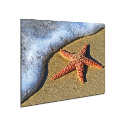 decorwelt | Herdabdeckplatte Glas 60x52 cm Ceranfeld Abdeckung Spritzschutz Abdeckplatte rutschfest Ceranfeldabdeckung Küche Natur decorwelt | Herdabdeckplatte Glas 60x52 cm Ceranfeld Abdeckung Spritzschutz Abdeckplatte rutschfest Ceranfeldabdeckung Küche Natur von decorwelt