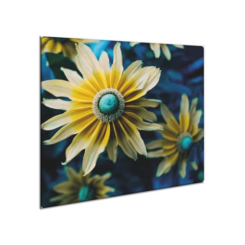 decorwelt | Herdabdeckplatte Glas 60x52 cm Ceranfeld Abdeckung Spritzschutz Abdeckplatte rutschfest Ceranfeldabdeckung Küche Blau Natur decorwelt | Herdabdeckplatte Glas 60x52 cm Ceranfeld Abdeckung Spritzschutz Abdeckplatte rutschfest Ceranfeldabdeckung Küche Blau Natur von decorwelt
