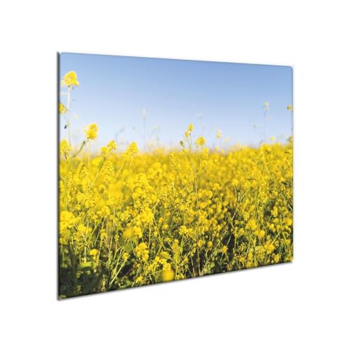 decorwelt | Herdabdeckplatte Glas 60x52 cm Ceranfeld Abdeckung Spritzschutz Abdeckplatte rutschfest Ceranfeldabdeckung Küche Gelb Natur decorwelt | Herdabdeckplatte Glas 60x52 cm Ceranfeld Abdeckung Spritzschutz Abdeckplatte rutschfest Ceranfeldabdeckung Küche Gelb Natur von decorwelt