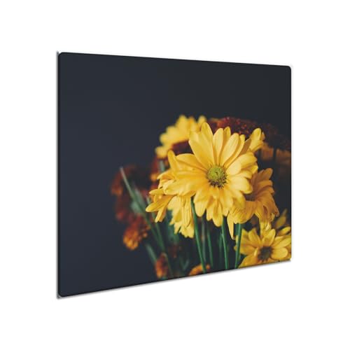 decorwelt | Herdabdeckplatte Glas 60x52 cm Ceranfeld Abdeckung Spritzschutz Abdeckplatte rutschfest Ceranfeldabdeckung Küche Natur von decorwelt