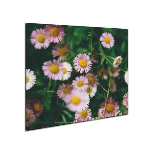 decorwelt | Herdabdeckplatte Glas 60x52 cm Ceranfeld Abdeckung Spritzschutz Abdeckplatte rutschfest Ceranfeldabdeckung Küche Natur decorwelt | Herdabdeckplatte Glas 60x52 cm Ceranfeld Abdeckung Spritzschutz Abdeckplatte rutschfest Ceranfeldabdeckung Küche Natur von decorwelt