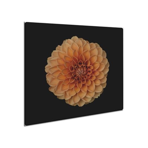 decorwelt | Herdabdeckplatte Glas 60x52 cm Ceranfeld Abdeckung Spritzschutz Abdeckplatte rutschfest Ceranfeldabdeckung Küche Natur von decorwelt