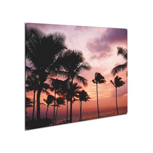 decorwelt | Herdabdeckplatte Glas 60x52 cm Ceranfeld Abdeckung Spritzschutz Abdeckplatte rutschfest Ceranfeldabdeckung Küche Natur von decorwelt