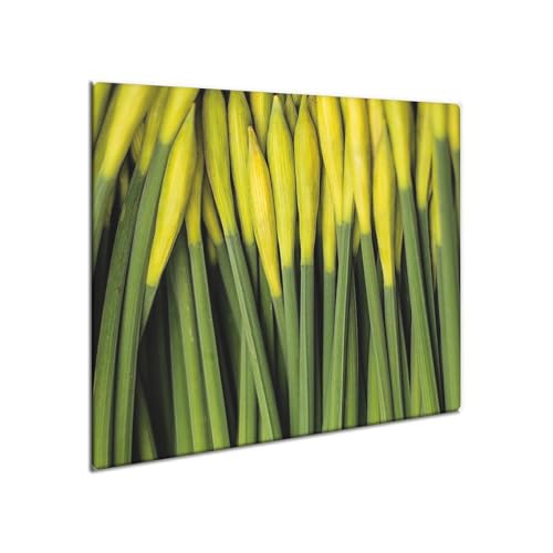 decorwelt | Herdabdeckplatte Glas 60x52 cm Ceranfeld Abdeckung Spritzschutz Abdeckplatte rutschfest Ceranfeldabdeckung Küche Natur decorwelt | Herdabdeckplatte Glas 60x52 cm Ceranfeld Abdeckung Spritzschutz Abdeckplatte rutschfest Ceranfeldabdeckung Küche Natur von decorwelt