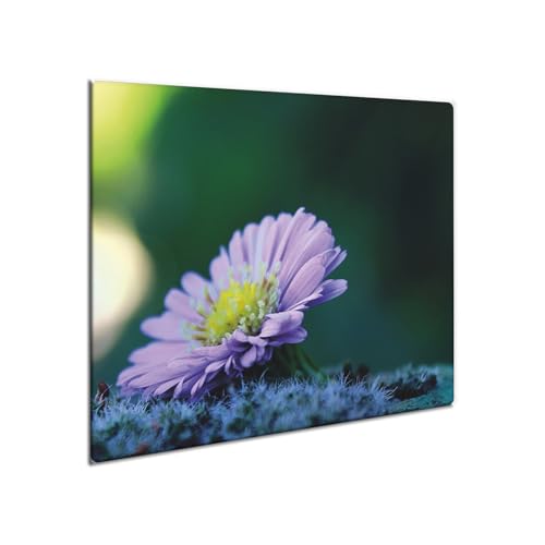 decorwelt | Herdabdeckplatte Glas 60x52 cm Ceranfeld Abdeckung Spritzschutz Abdeckplatte rutschfest Ceranfeldabdeckung Küche Pink Natur decorwelt | Herdabdeckplatte Glas 60x52 cm Ceranfeld Abdeckung Spritzschutz Abdeckplatte rutschfest Ceranfeldabdeckung Küche Pink Natur von decorwelt