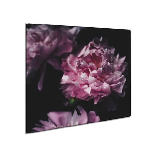 decorwelt | Herdabdeckplatte Glas 60x52 cm Ceranfeld Abdeckung Spritzschutz Abdeckplatte rutschfest Ceranfeldabdeckung Küche Pink Natur decorwelt | Herdabdeckplatte Glas 60x52 cm Ceranfeld Abdeckung Spritzschutz Abdeckplatte rutschfest Ceranfeldabdeckung Küche Pink Natur von decorwelt