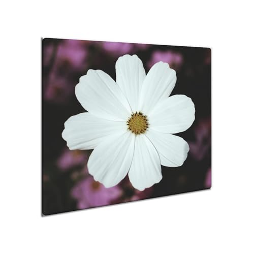 decorwelt | Herdabdeckplatte Glas 60x52 cm Ceranfeld Abdeckung Spritzschutz Abdeckplatte rutschfest Ceranfeldabdeckung Küche Weiß Natur decorwelt | Herdabdeckplatte Glas 60x52 cm Ceranfeld Abdeckung Spritzschutz Abdeckplatte rutschfest Ceranfeldabdeckung Küche Weiß Natur von decorwelt