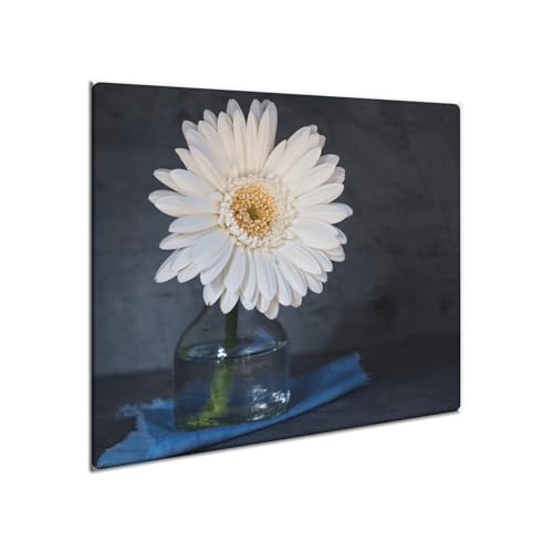 decorwelt | Herdabdeckplatte Glas 60x52 cm Ceranfeld Abdeckung Spritzschutz Abdeckplatte rutschfest Ceranfeldabdeckung Küche Weiß Natur von decorwelt