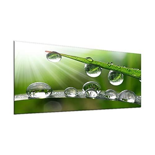 decorwelt | Herdabdeckplatte Glas 90x52 cm 1-Teilig Natur Grün Ceranfeldabdeckung Universal Spritzschutz Deko Elektroherd Induktion für Kochplatten Herdschutz Schneidebrett rutschfest decorwelt | Herdabdeckplatte Glas 90x52 cm 1-Teilig Natur Grün Ceranfeldabdeckung Universal Spritzschutz Deko Elektroherd Induktion für Kochplatten Herdschutz Schneidebrett rutschfest von decorwelt