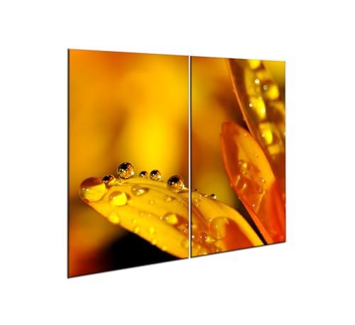 decorwelt |Herdabdeckplatte Glas Set 2x30x52 cm Ceranfeld Abdeckung Spritzschutz Abdeckplatte rutschfest Ceranfeldabdeckung Gelb Natur decorwelt |Herdabdeckplatte Glas Set 2x30x52 cm Ceranfeld Abdeckung Spritzschutz Abdeckplatte rutschfest Ceranfeldabdeckung Gelb Natur von decorwelt