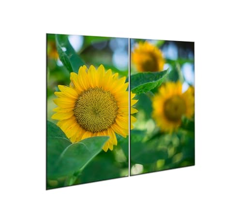 decorwelt |Herdabdeckplatte Glas Set 2x30x52 cm Ceranfeld Abdeckung Spritzschutz Abdeckplatte rutschfest Ceranfeldabdeckung Gelb Natur decorwelt |Herdabdeckplatte Glas Set 2x30x52 cm Ceranfeld Abdeckung Spritzschutz Abdeckplatte rutschfest Ceranfeldabdeckung Gelb Natur von decorwelt