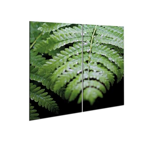decorwelt |Herdabdeckplatte Glas Set 2x30x52 cm Ceranfeld Abdeckung Spritzschutz Abdeckplatte rutschfest Ceranfeldabdeckung Grün Natur decorwelt |Herdabdeckplatte Glas Set 2x30x52 cm Ceranfeld Abdeckung Spritzschutz Abdeckplatte rutschfest Ceranfeldabdeckung Grün Natur von decorwelt