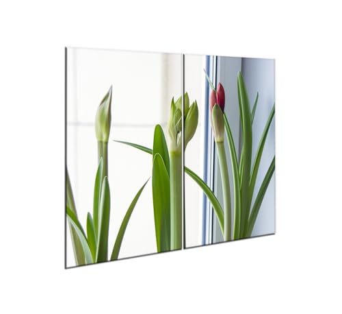 decorwelt |Herdabdeckplatte Glas Set 2x30x52 cm Ceranfeld Abdeckung Spritzschutz Abdeckplatte rutschfest Ceranfeldabdeckung Grün Natur decorwelt |Herdabdeckplatte Glas Set 2x30x52 cm Ceranfeld Abdeckung Spritzschutz Abdeckplatte rutschfest Ceranfeldabdeckung Grün Natur von decorwelt