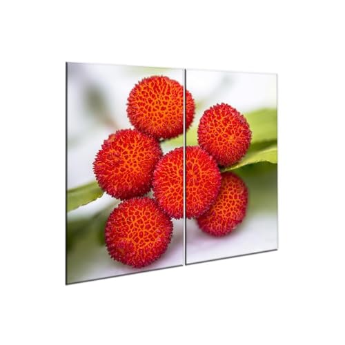 decorwelt |Herdabdeckplatte Glas Set 2x30x52 cm Ceranfeld Abdeckung Spritzschutz Abdeckplatte rutschfest Ceranfeldabdeckung Rot Natur decorwelt |Herdabdeckplatte Glas Set 2x30x52 cm Ceranfeld Abdeckung Spritzschutz Abdeckplatte rutschfest Ceranfeldabdeckung Rot Natur von decorwelt