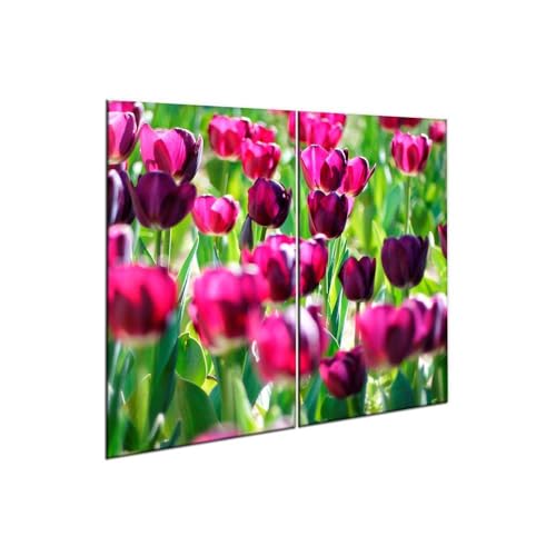 decorwelt |Herdabdeckplatte Glas Set 2x30x52 cm Ceranfeld Abdeckung Spritzschutz Abdeckplatte rutschfest Ceranfeldabdeckung Violett Natur decorwelt |Herdabdeckplatte Glas Set 2x30x52 cm Ceranfeld Abdeckung Spritzschutz Abdeckplatte rutschfest Ceranfeldabdeckung Violett Natur von decorwelt