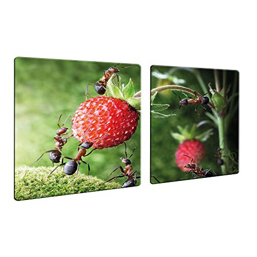 decorwelt | Herdabdeckplatten 2x40x52 cm Ceranfeld Abdeckung 2 Teilig Glas Spritzschutz Abdeckplatte Glasplatte Herd Ceranfeldabdeckung Obst Rot Grün decorwelt | Herdabdeckplatten 2x40x52 cm Ceranfeld Abdeckung 2 Teilig Glas Spritzschutz Abdeckplatte Glasplatte Herd Ceranfeldabdeckung Obst Rot Grün von decorwelt