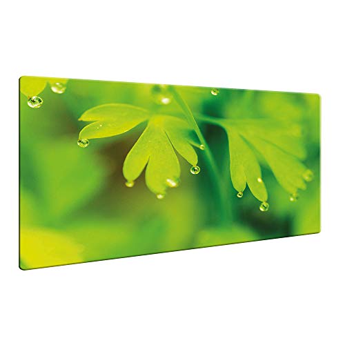 decorwelt | Herdabdeckplatten 80x52cm Ceranfeld Abdeckung Glas Spritzschutz Abdeckplatte Glasplatte Herd rutschfest Herd Ceranfeldabdeckung Blatt Grün von decorwelt