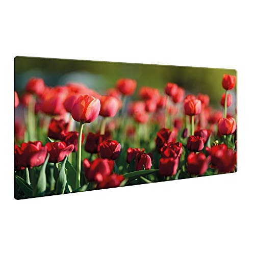 decorwelt | Herdabdeckplatten 80x52cm Ceranfeld Abdeckung Glas Spritzschutz Abdeckplatte Glasplatte Herd rutschfest Herd Ceranfeldabdeckung Blumen Rot Grün von decorwelt