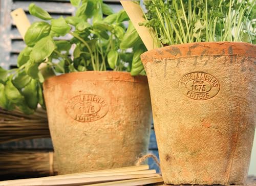 degawo Aged Terracotta Blumentopf 2er Set Übertopf von degawo