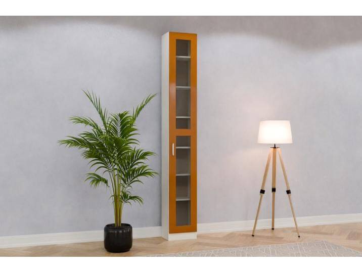 Vitrine/ Vitrinenschrank nach Maß - RAL 8001 Ockerbraun - 240x240x28cm - Individuell konfigurieren von deinschrank.de