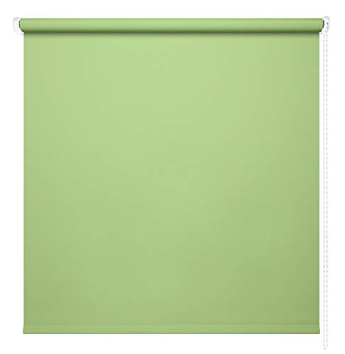 Kettenzugrollo Seitenzugrollo Fenster Rollo 13 Farben Breite 60 - 220 cm Länge 180 und 230 cm blickdicht halbtransparent lichtdurchlässig Sonnenschutz Blendschutz (Größe 220 x 180 cm Farbe Grün) von deko-raumshop
