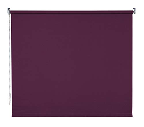 Tageslichtrollo Seitenzugrollo Kettenzugrollo Rollo Vorhang lichtdurchlässig Blickdicht Farbe Brombeere Breite 60-200 cm Sonnenschutz Sichtschutz Montage Wand und Decke (120 x 180 cm) von deko-raumshop